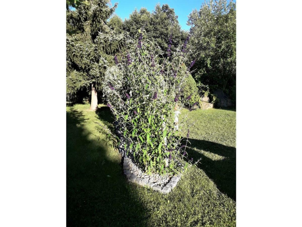 Gerda'S Ferienhaeuser Eppenschlag Экстерьер фото